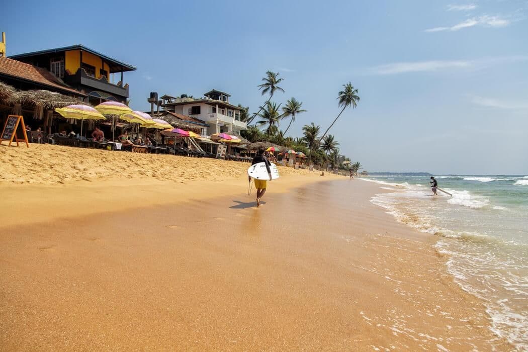 Swimming with Sea Turtles in Hikkaduwa: Where to Find Them for Free