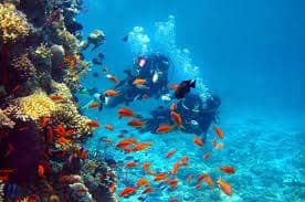 Hikkaduwa: Surf Breaks & The Vibrant Coral Sanctuary