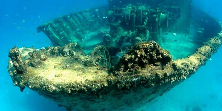 Scuba Diving in Hikkaduwa: Exploring Shipwrecks and Reefs